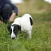 Bella - will die Welt entdecken!