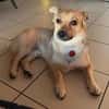 Berani in 49219 Glandorf sucht neues Zuhause oder PS