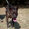 Xena