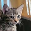 DIGNE QCT (J'ai trouvé ma famille)