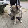 BOOBA