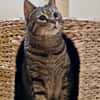 Pinky sucht Zuhause