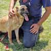 RUBY in 91616 Neusitz sucht