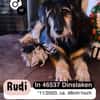 Sanfter RUDI sucht seine Menschen