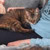 Nanetta sucht ihr Traumzuhause