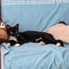 Sally sucht ihren Menschen