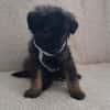 Fluffy