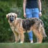 Lilù wünscht sich eigene Familie