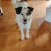 Unser Sonnenschein Joa sucht Familienanschluss
