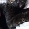 Verschmuste liebevolle Betty