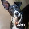 MINNA