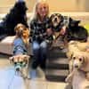 ZAKO sucht sein forever Home