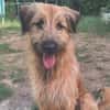 Riesenbaby Cheddar sucht liebe konsequente Familie