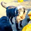 Entspannter, liebenswerter Yannis sucht