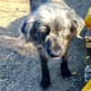 Entspannter, liebenswerter Yannis sucht