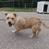 SAM
