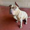 PAA23030 SOOKIE