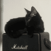 BLAKE ET BILLIE