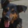 Filemon