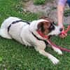 Sensibler Dallas sucht Dich