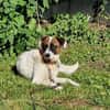 Sensibler Dallas sucht Dich