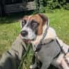 Sensibler Dallas sucht Dich