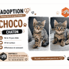 CHOCO ( Réservé)