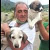 Das Leid unserer Hunde in der Türkei !