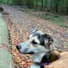 DORINE * feiner Schatz auf der Suche