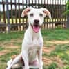 Ombretta sucht Familienanschluss
