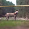 jumpy