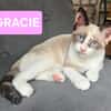 GRACIE À ADOPTER AVEC UN CHAT DÉJÀ PRÉSENT CHEZ VOUS