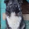 TINKY auf PS in 65597 Hünfelden