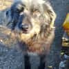 Entspannter, liebenswerter Yannis sucht
