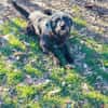 Entspannter, liebenswerter Yannis sucht