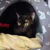 RUBY