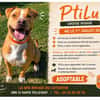 PTILU
