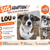 LOU (Réservé)