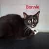 BONNIE
