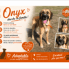ONYX