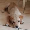BOBBY
