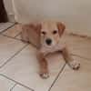 BOBBY