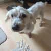 Nox  sucht seine Familie