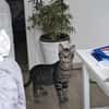 July sucht ein liebevolles Zuhause