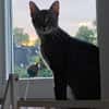 July sucht ein liebevolles Zuhause