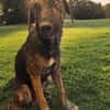 SHIVA