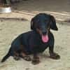 🐾 Kleine Berta sucht ihr Zuhause für immer
