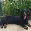 🐾 Kleine Berta sucht ihr Zuhause für immer