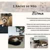 Birma