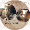 Toulouse